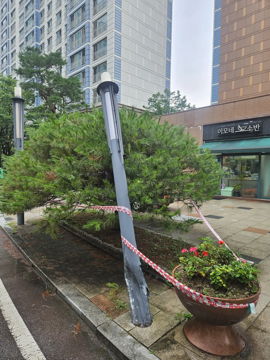성남시 가로등수리 수정구 노후 기둥 교체